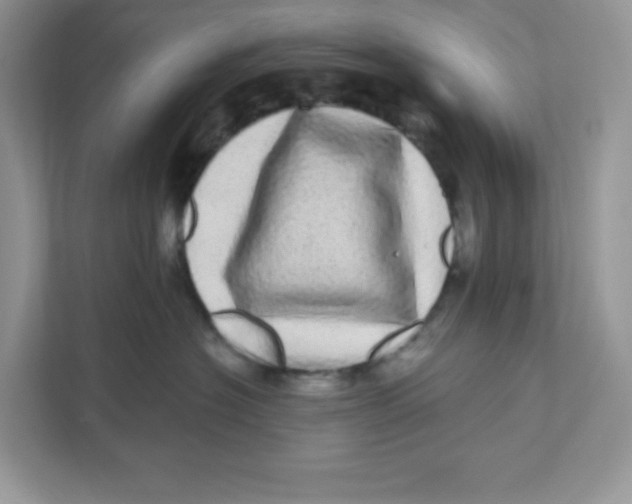 X0000110880574200907091424