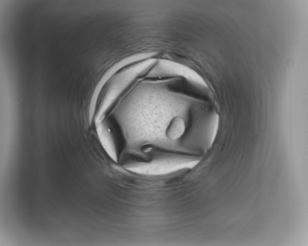 X0000110880576200907091424