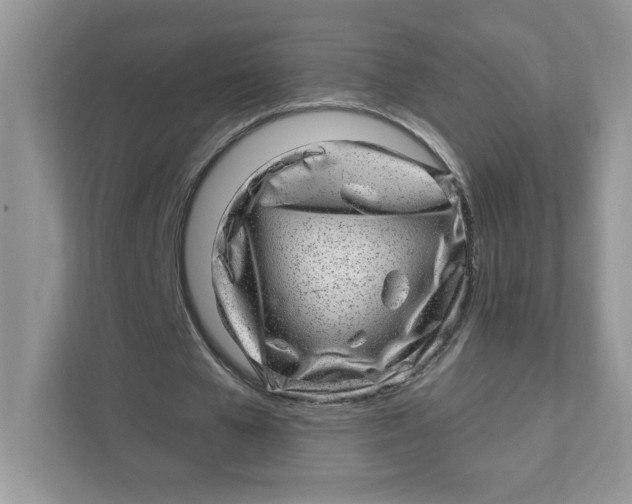 X0000110880577200907091423