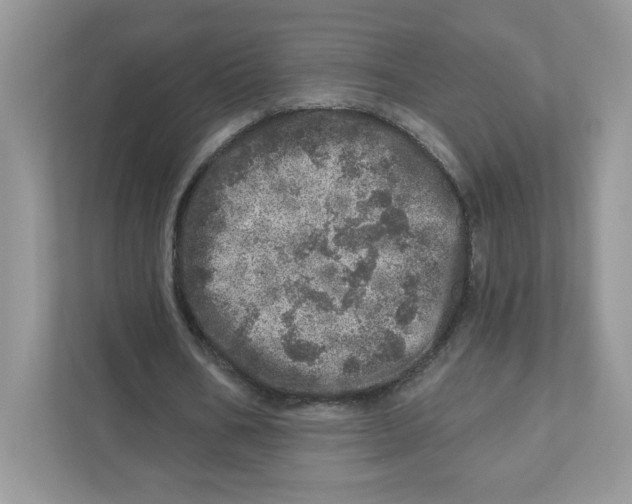 X0000110880578200907091423