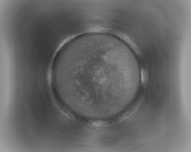 X0000110880579200907091423