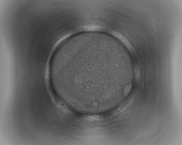 X0000110880583200907091423