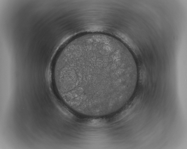 X0000110880584200907091423