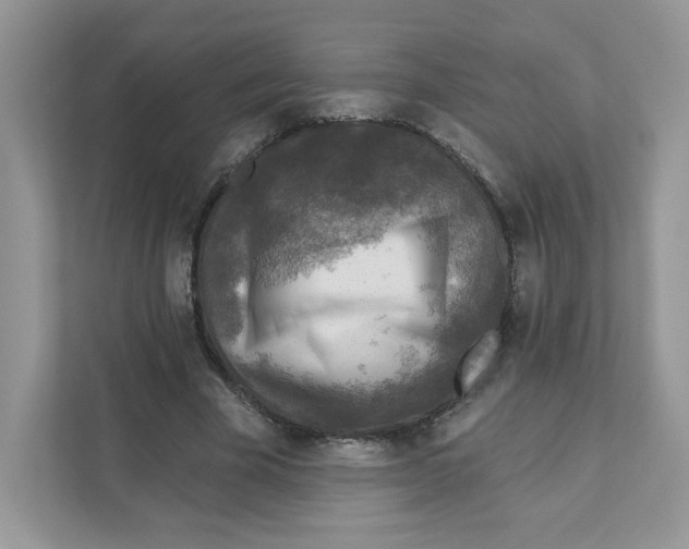 X0000110880585200907091423