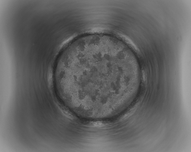 X0000110880588200907091423