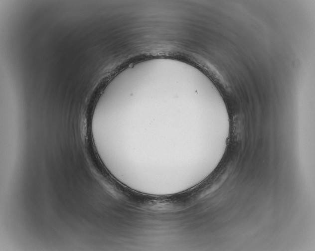 X0000110880589200907091423