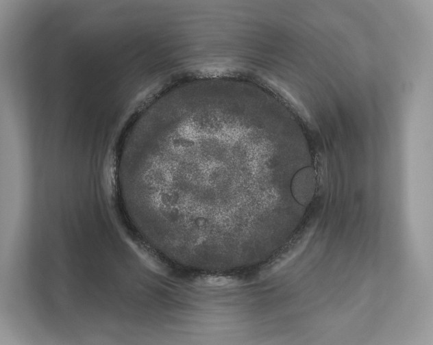 X0000110880590200907091423