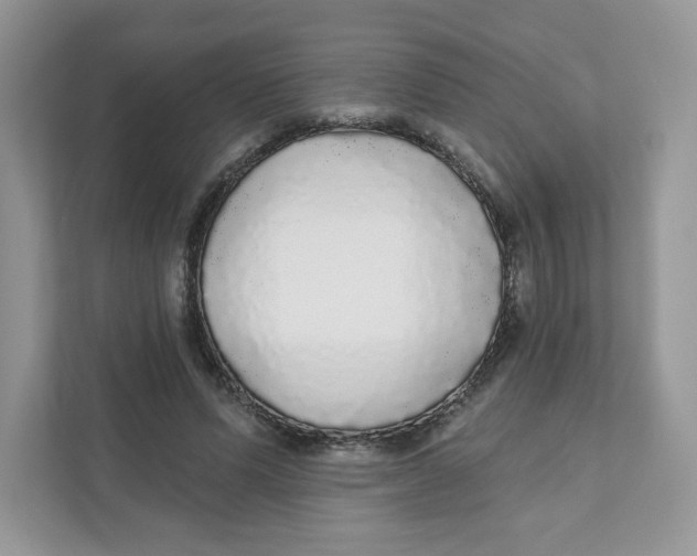 X0000110880591200907091423