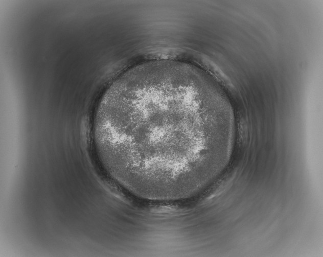 X0000110880594200907091423