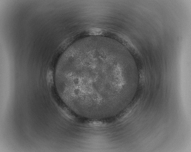 X0000110880598200907091423