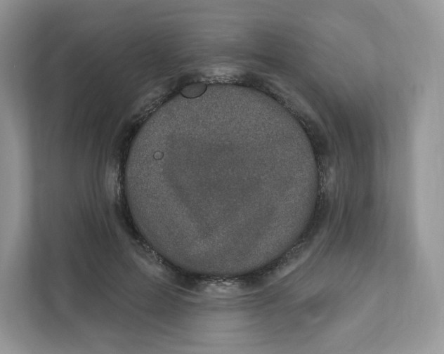 X0000110880599200907091423