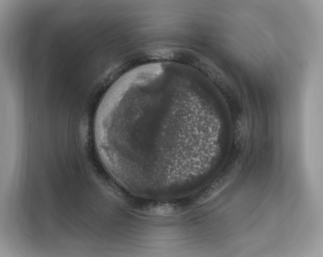 X0000110880600200907091423