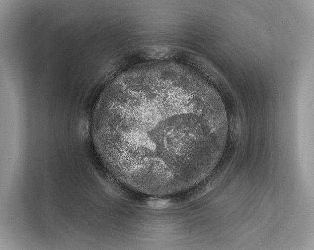 X0000110880602200907091423