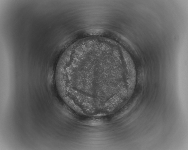 X0000110880604200907091423