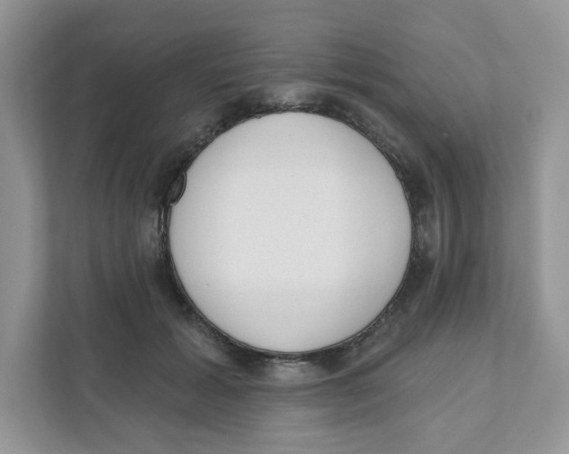 X0000110880605200907091423