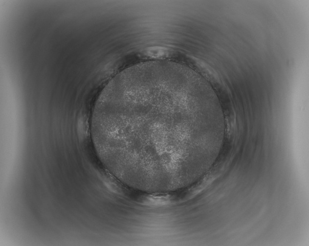 X0000110880606200907091423