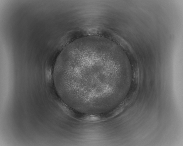 X0000110880610200907091423