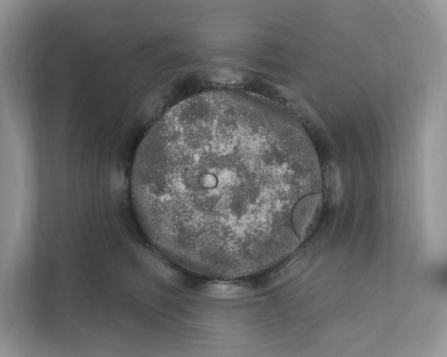 X0000110880614200907091423