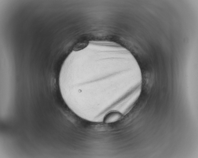 X0000110880615200907091423