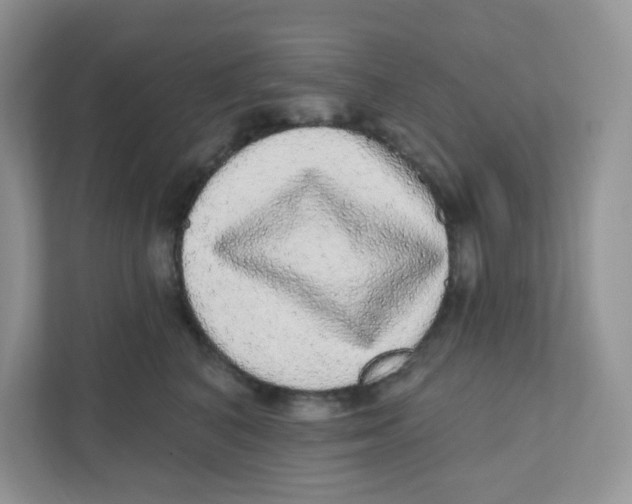 X0000110880616200907091423