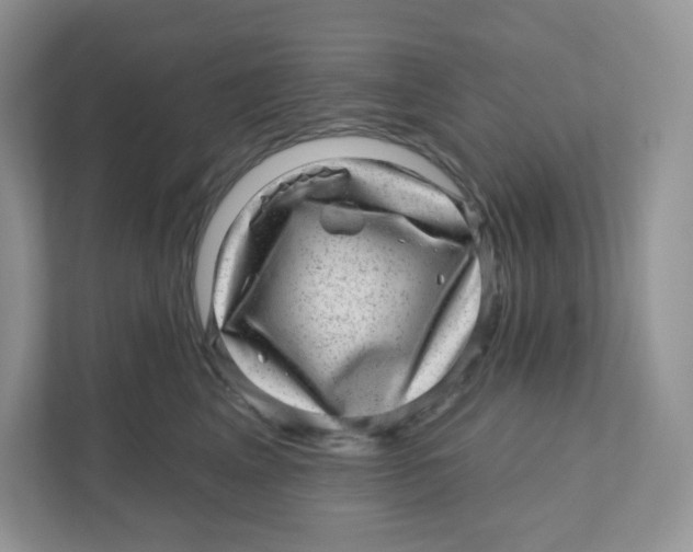 X0000110880617200907091423