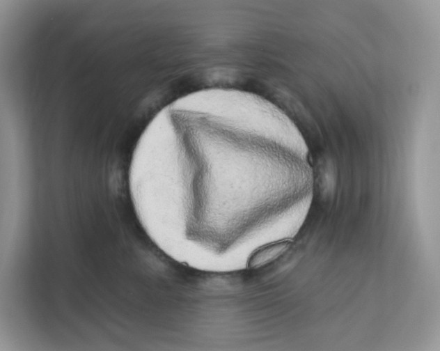 X0000110880619200907091423