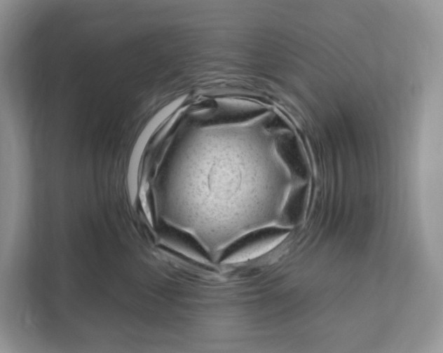 X0000110880621200907091423