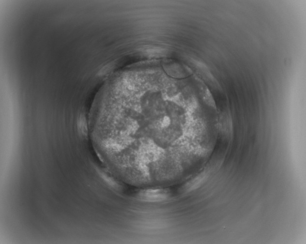 X0000110880622200907091422