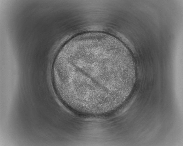 X0000110880625200907091422