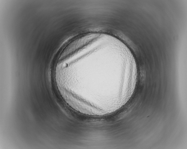 X0000110880626200907091422