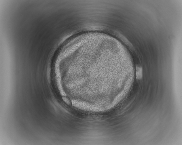 X0000110880627200907091422