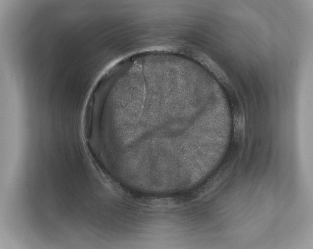 X0000110880628200907091422