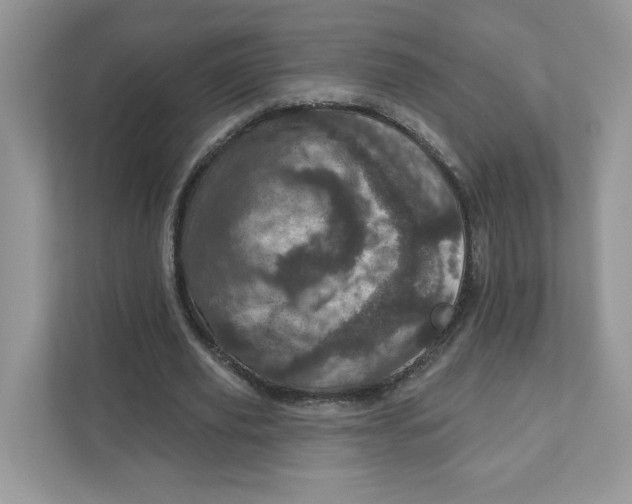 X0000110880629200907091422