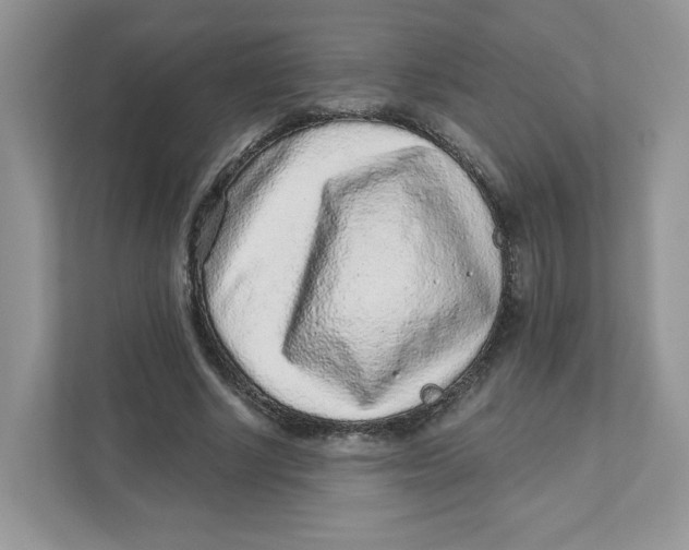 X0000110880634200907091422