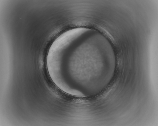 X0000110880635200907091422