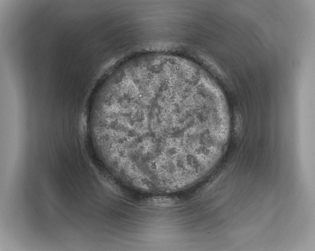 X0000110880636200907091422