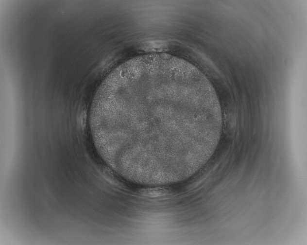 X0000110880652200907091422