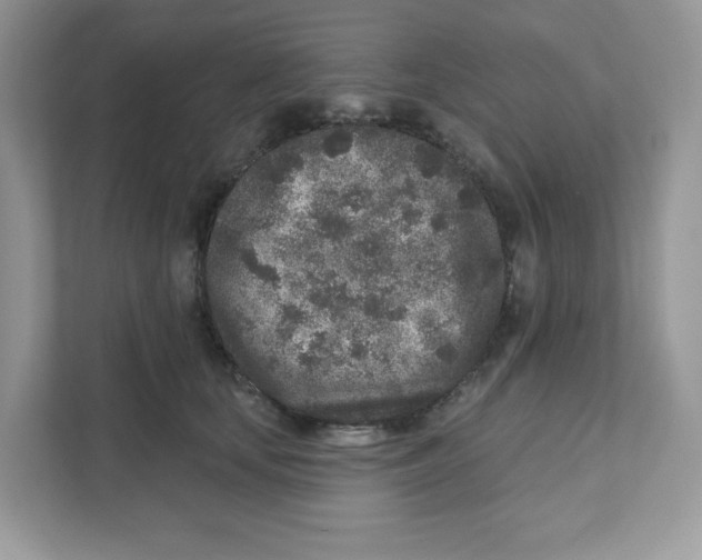 X0000110880659200907091422