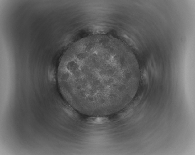 X0000110880663200907091422