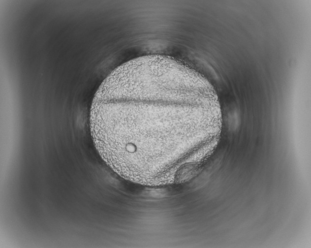 X0000110880665200907091422