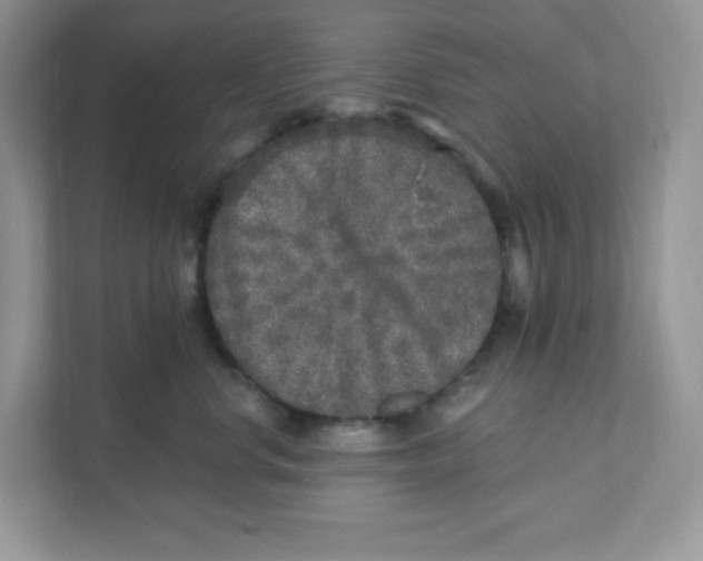 X0000110880668200907091422