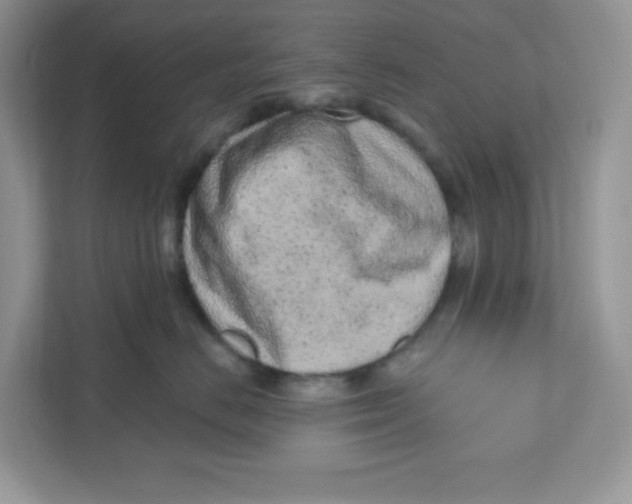 X0000110880670200907091422