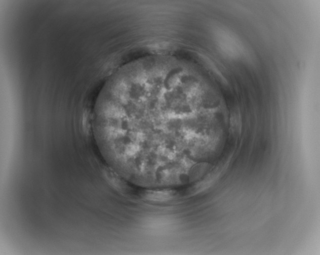 X0000110880671200907091422