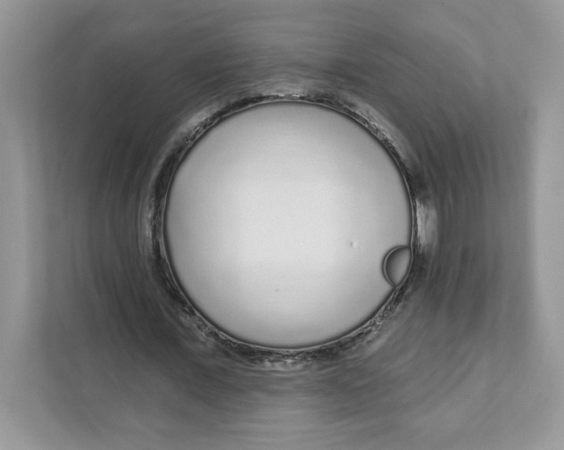 X0000110880675200907091422