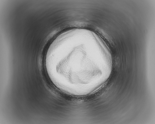 X0000110880679200907091422