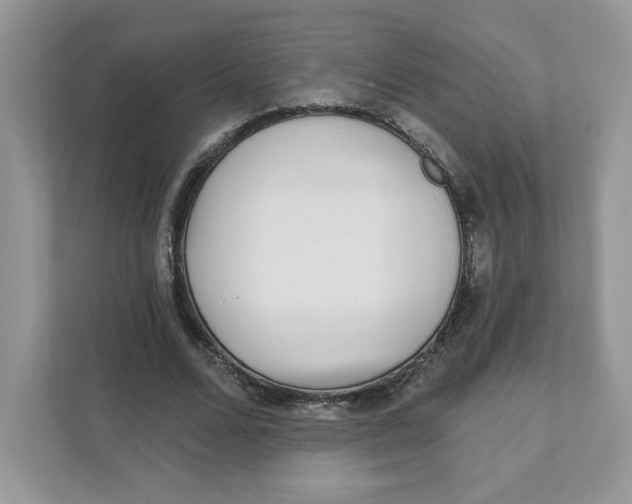 X0000110880680200907091422