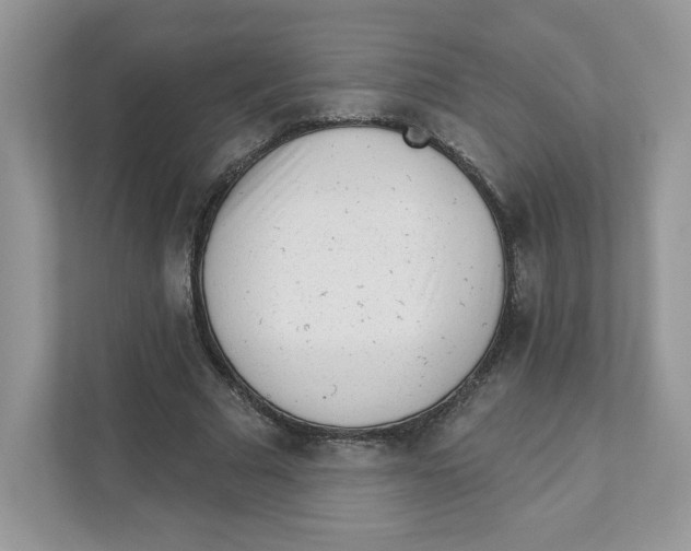 X0000110880681200907091422