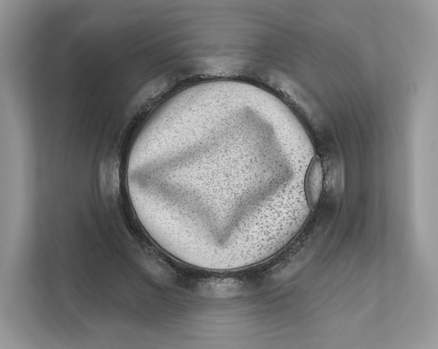 X0000110880685200907091422