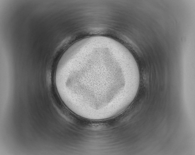 X0000110880686200907091422