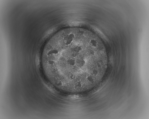 X0000110880687200907091422